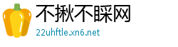不揪不睬网